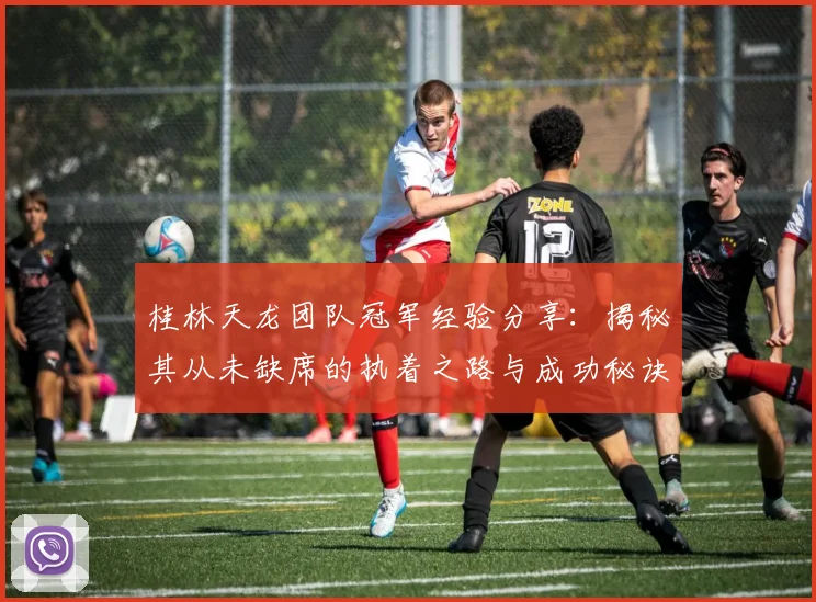桂林天龙团队冠军经验分享：揭秘其从未缺席的执着之路与成功秘诀